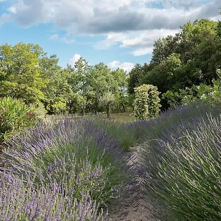 Superbe Mas Provencal, Entre Gordes Et Roussillon *